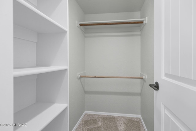 spacious closet with carpet