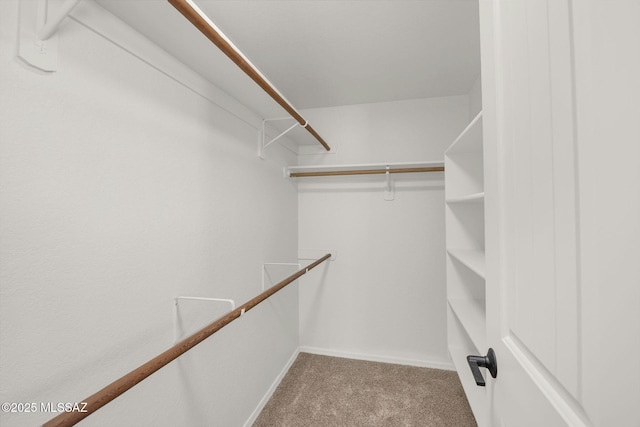 walk in closet with light carpet