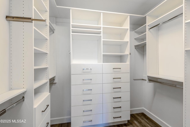 30776 S Sand Hurst Ln, Oracle, AZ 85623 - walk in closet featuring dark wood-style flooring
