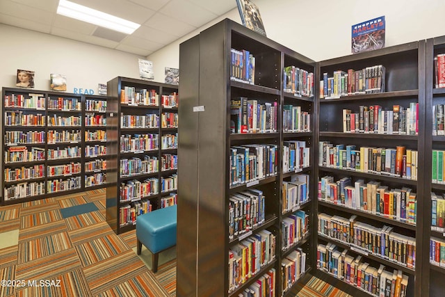 30776 S Sand Hurst Ln, Oracle, AZ 85623 - living area featuring wall of books and a paneled ceiling