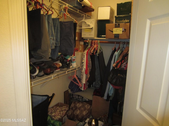 view of walk in closet