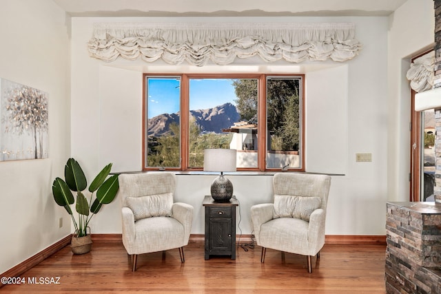 living area featuring baseboards, a mountain view, and wood finished floors