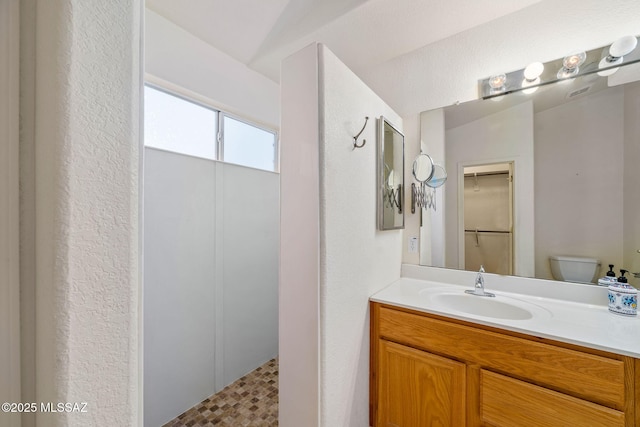 full bath featuring vanity, toilet, and a spacious closet