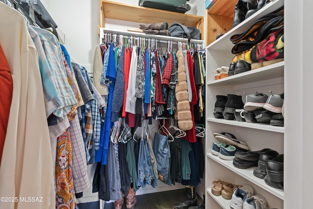 walk in closet featuring wood finished floors