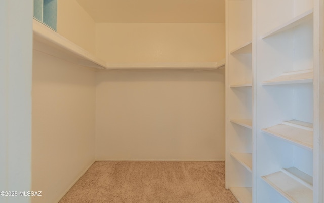 spacious closet with carpet flooring