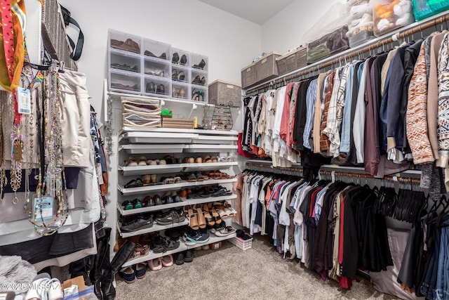 walk in closet featuring carpet floors