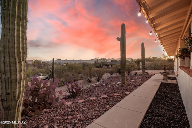 view of yard at dusk