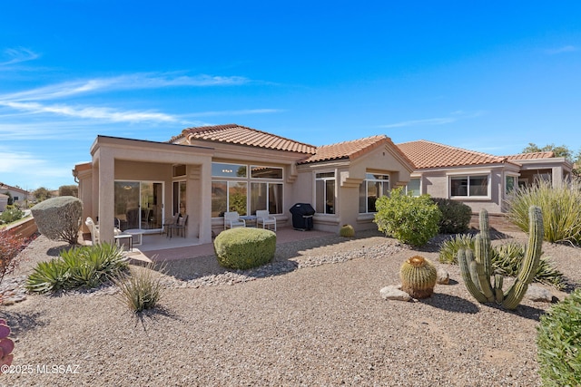 rear view of property with a patio area, a tiled roof, and stucco siding