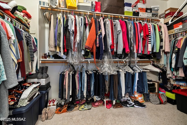 view of spacious closet