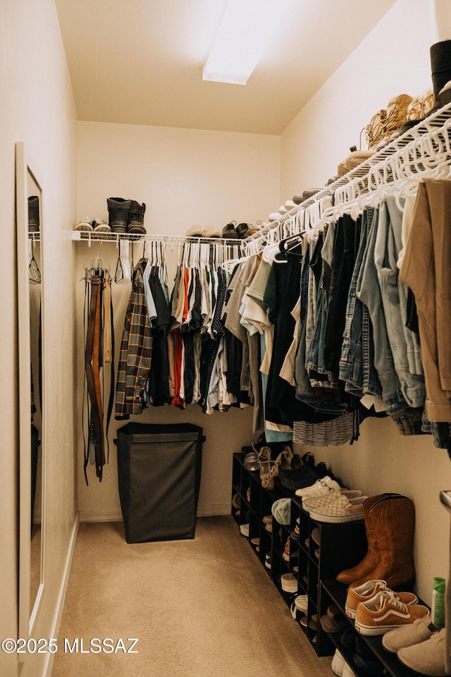 walk in closet featuring carpet floors