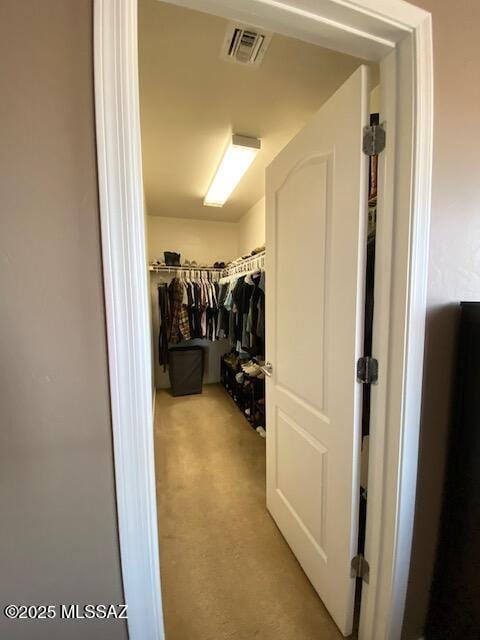 spacious closet with visible vents