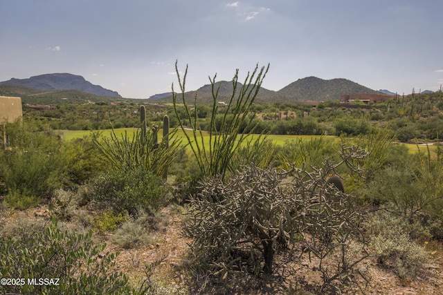 3641 W Eagles View Pl Unit 5, Tucson AZ, 85745 land for sale