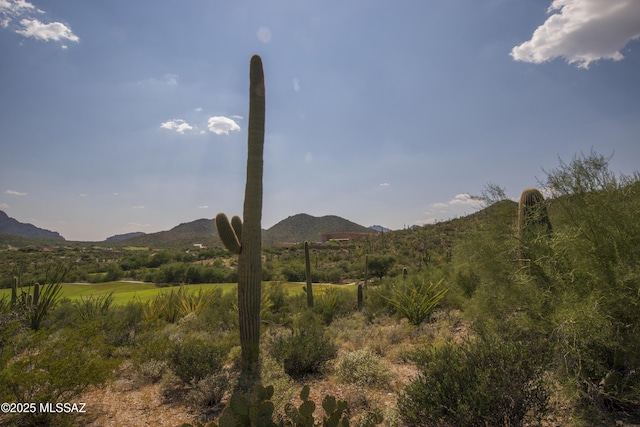 Listing photo 3 for 3641 W Eagles View Pl Unit 5, Tucson AZ 85745