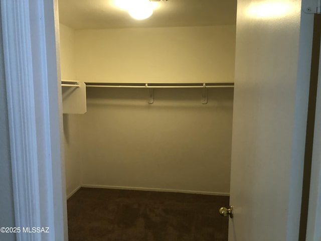 walk in closet featuring carpet