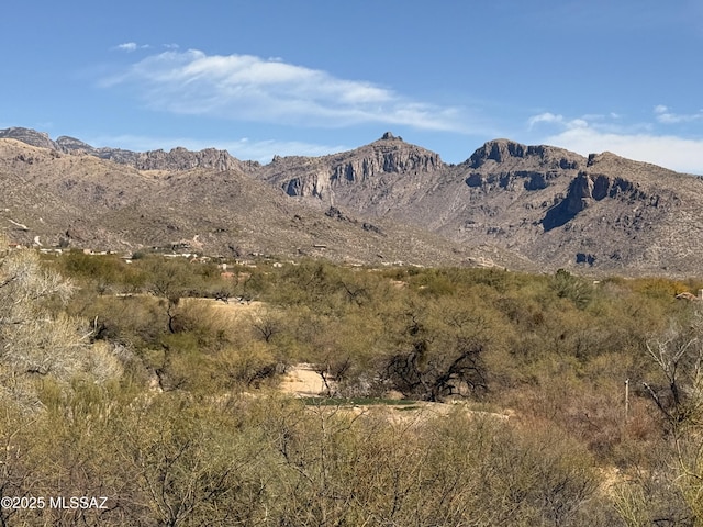 view of mountain feature