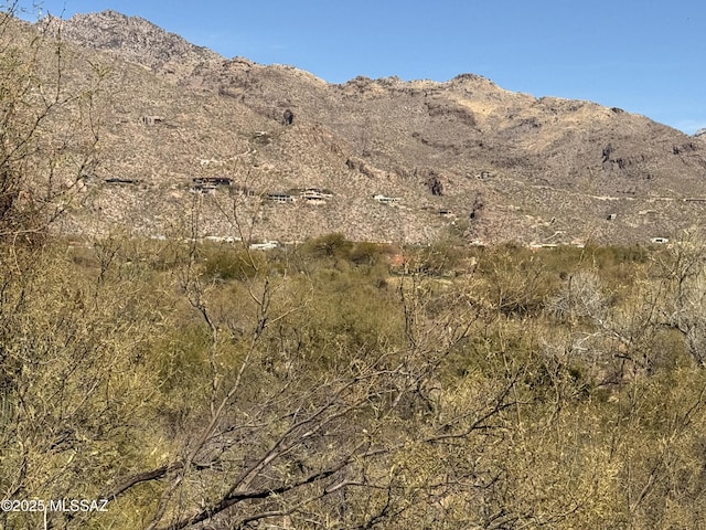 property view of mountains