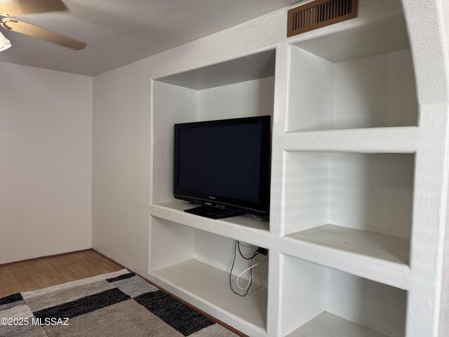 5017 S 11th Ave, Tucson, AZ 85706 - detailed view of a ceiling fan and wood finished floors
