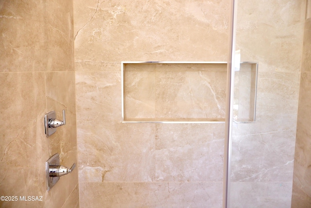 interior details featuring tiled shower