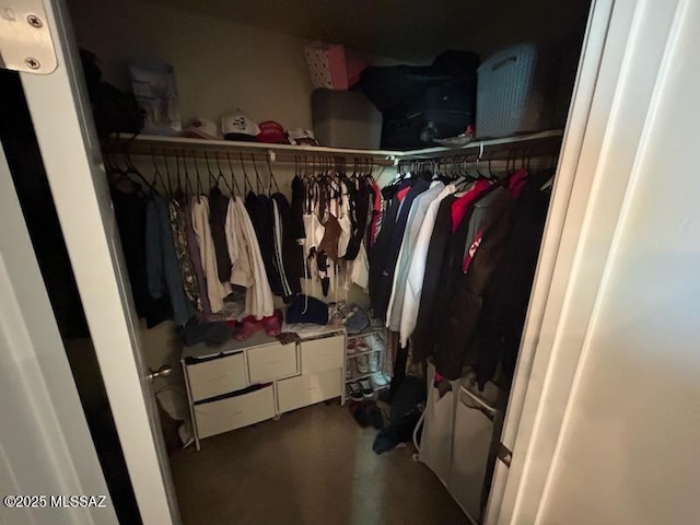 view of spacious closet