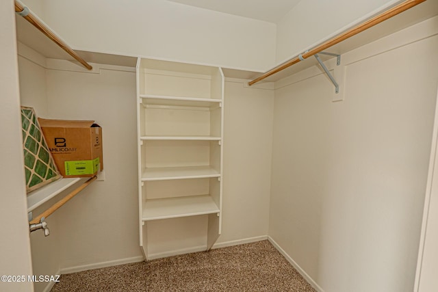 spacious closet featuring carpet flooring