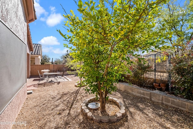 view of yard with outdoor dining area, a patio area, and a fenced backyard