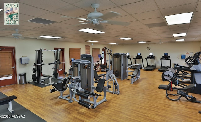 gym with light wood finished floors, a drop ceiling, and a ceiling fan
