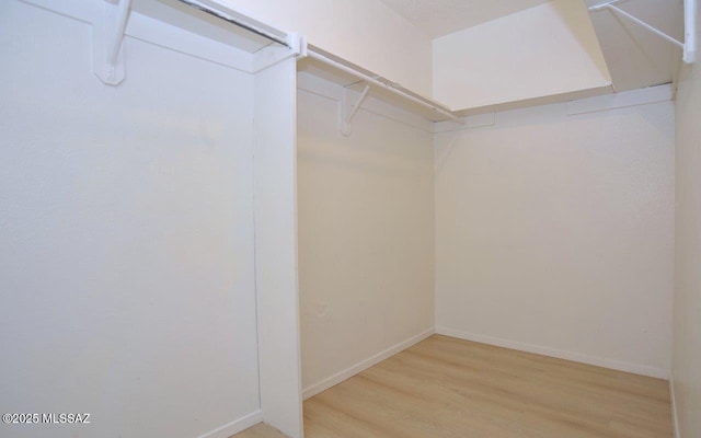 spacious closet featuring light wood finished floors