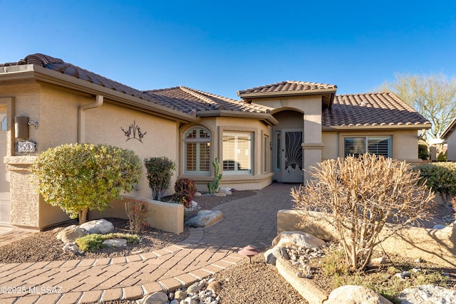 view of front of house with a patio area, a tile roof, and stucco siding