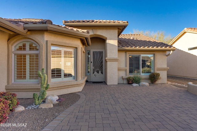 view of exterior entry featuring a tile roof, a patio, and stucco siding