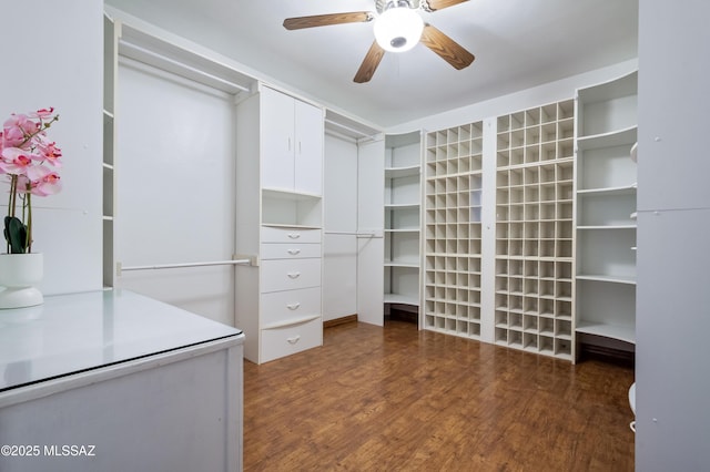 spacious closet featuring a ceiling fan and wood finished floors