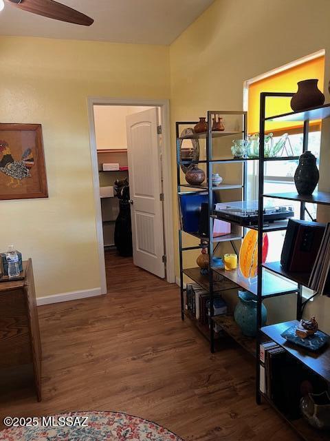 storage room featuring ceiling fan