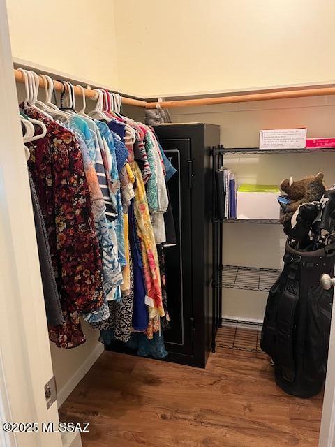 spacious closet featuring wood finished floors