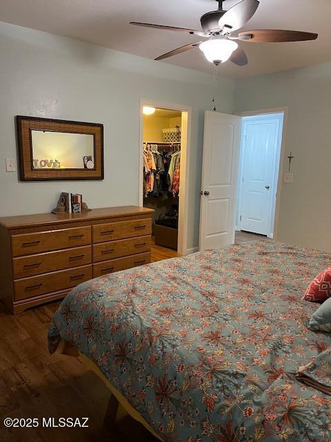 bedroom featuring ceiling fan, a closet, a walk in closet, and wood finished floors