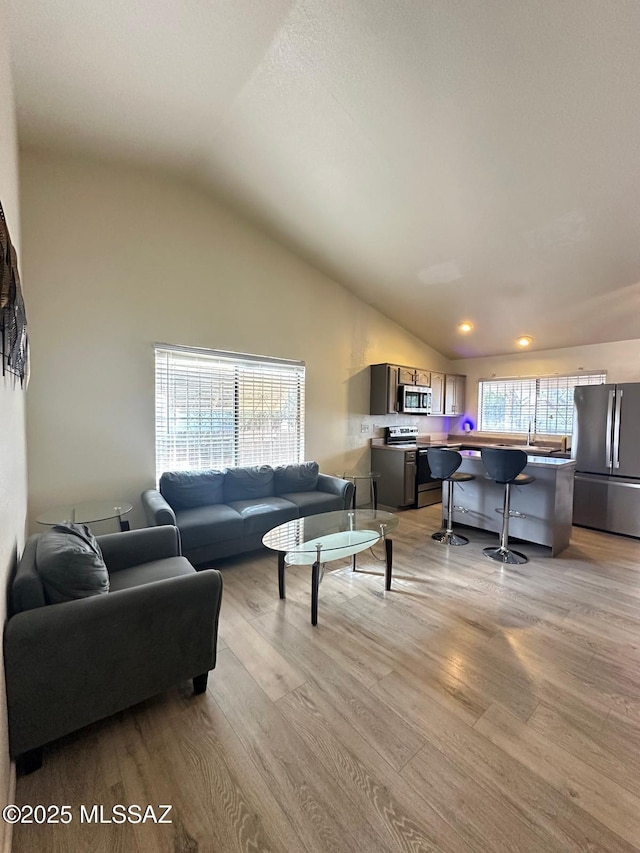 living room with high vaulted ceiling, light wood finished floors, and a wealth of natural light