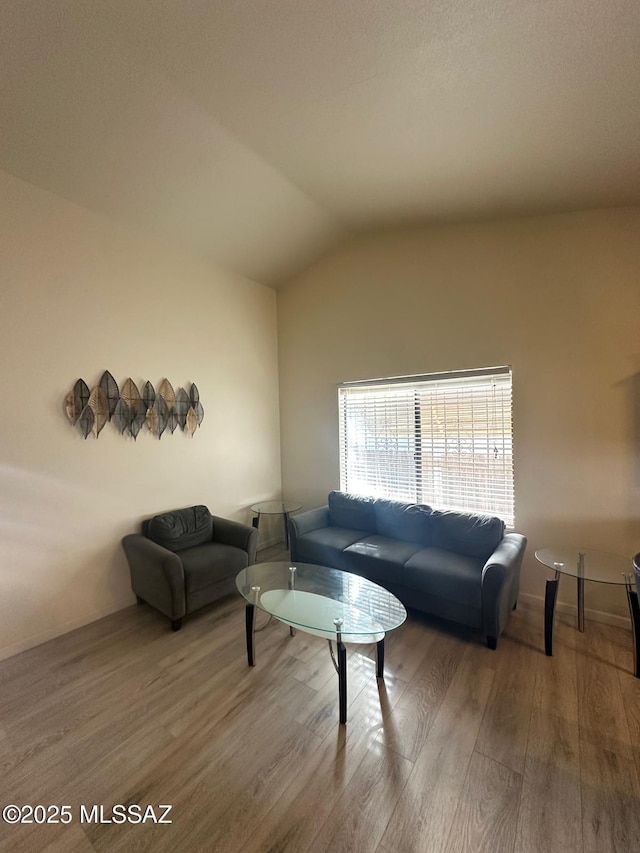 living room featuring lofted ceiling and wood finished floors