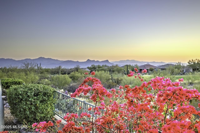 13517 N Heritage Gateway Ave, Marana, AZ 85658 - view of mountain feature