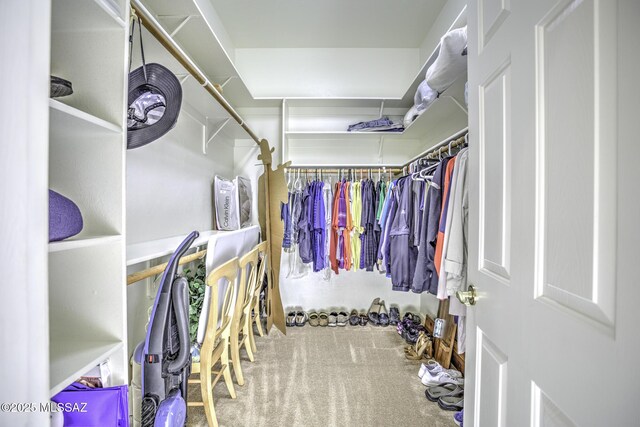 13517 N Heritage Gateway Ave, Marana, AZ 85658 - walk in closet with carpet flooring
