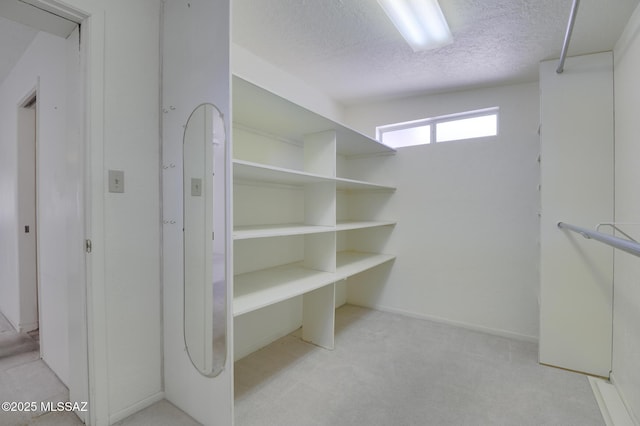 walk in closet featuring light colored carpet