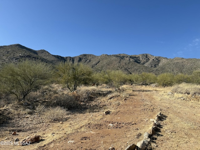 view of mountain feature