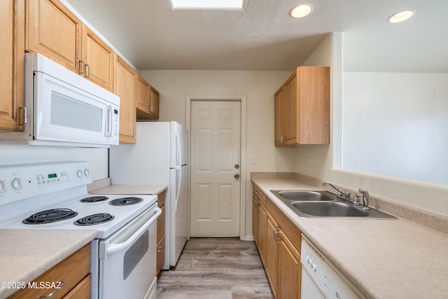 kitchen featuring light wood finished floors, light countertops, white appliances, and a sink