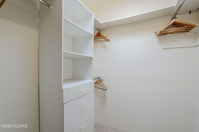 view of walk in closet