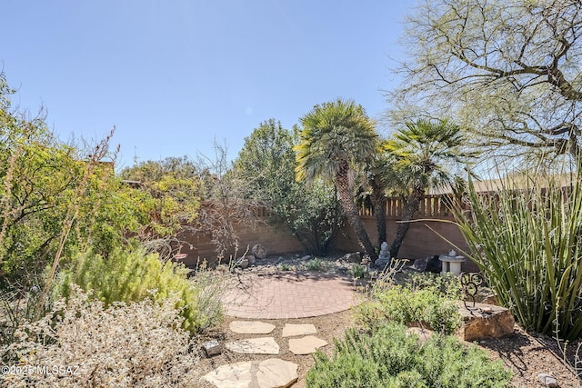 view of yard featuring a patio area and a fenced backyard