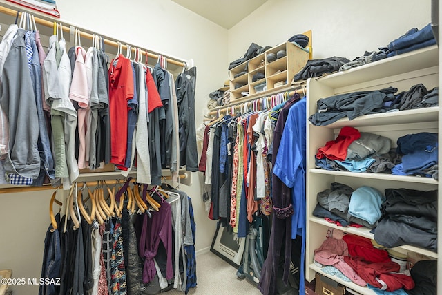 walk in closet with carpet flooring