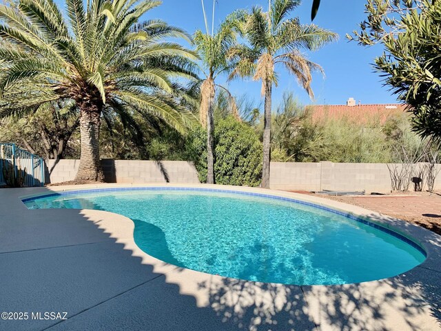 view of pool with a fenced in pool, a fenced backyard, and a patio