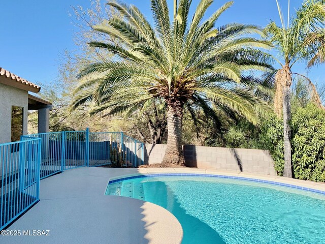 view of pool featuring a patio area, a fenced backyard, and a fenced in pool