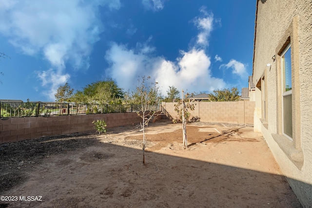 view of yard with a patio area and a fenced backyard