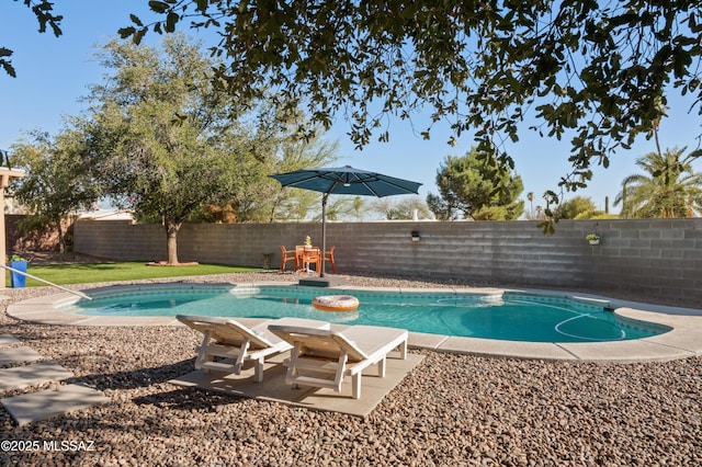 view of swimming pool featuring a fenced in pool, a fenced backyard, and a patio area