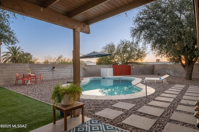 view of pool featuring a fenced in pool, a patio, and a fenced backyard