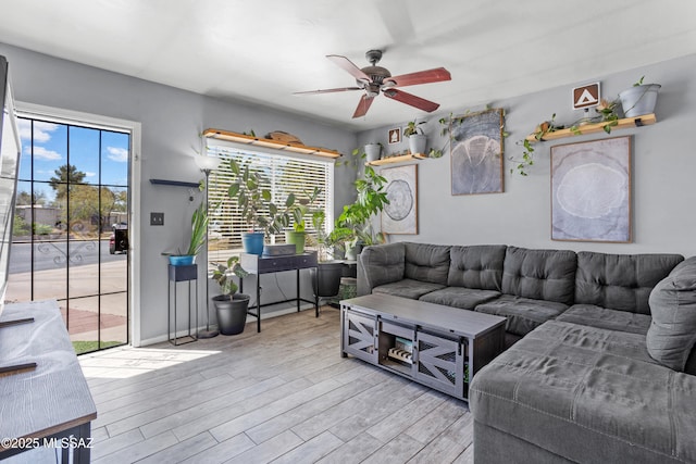 living area featuring wood finished floors, a ceiling fan, and a wealth of natural light