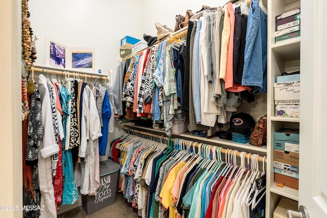 walk in closet featuring carpet